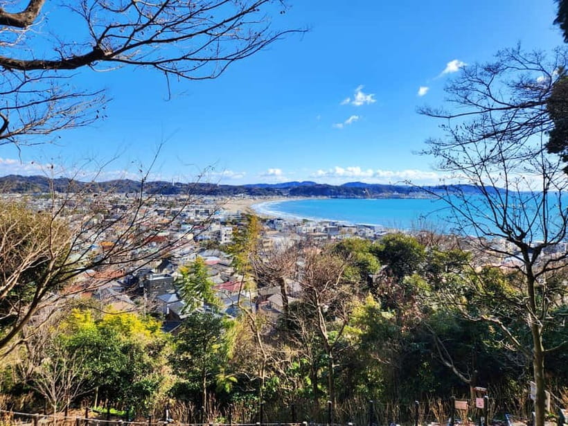 Kamakura Private & Customizable Tour - All-in-One Experience - Walking, trains, and the real pace of the day