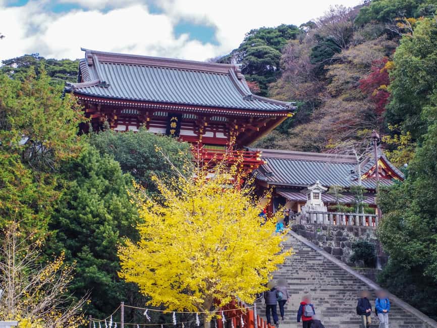 Kamakura Private & Customized Half-Day Tour with Local Guide - Why a private Kamakura tour can be worth it