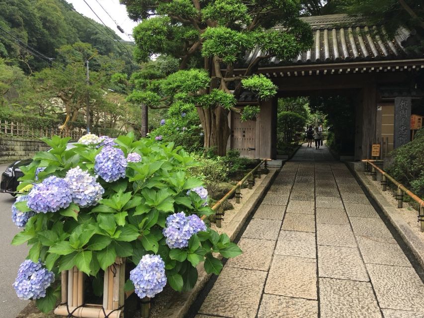 Kamakura: Private History and Heritage Tour by Rickshaw - The 45-minute route: a useful Kamakura introduction