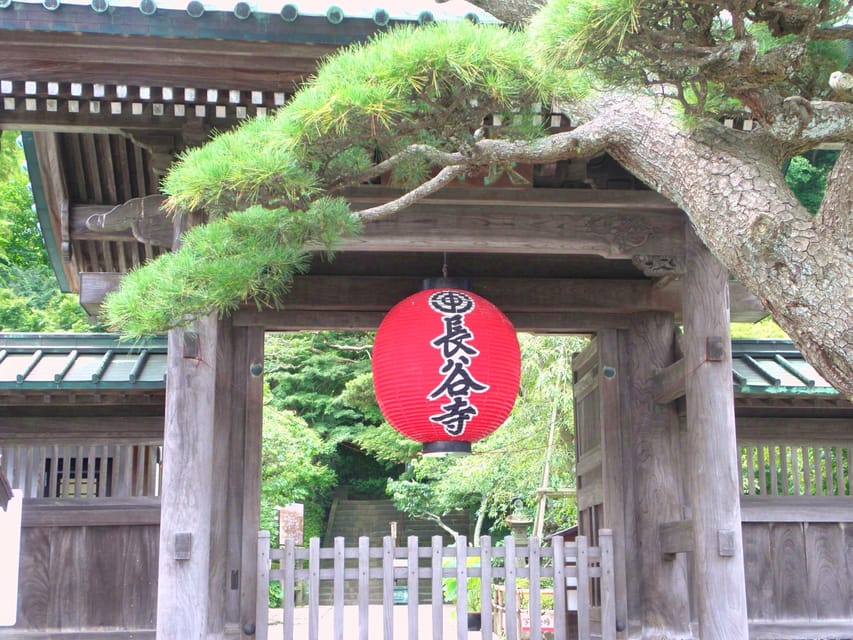 Kamakura Temples Private Guided Tour from Tokyo - Tsurugaoka Hachimangu and Kamakura’s Shinto Center