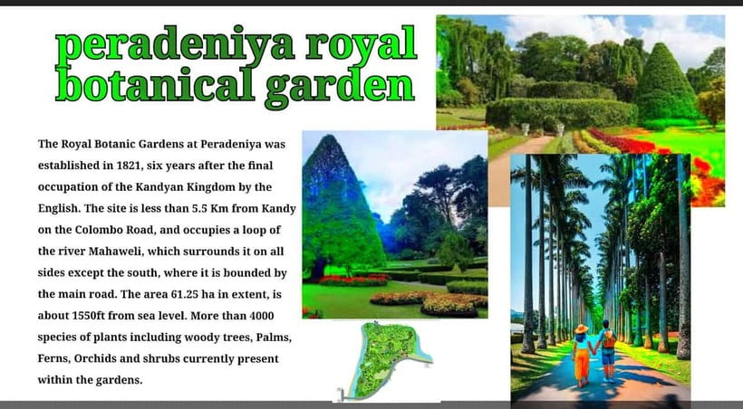 Kandy: City Tour with Temple of the Tooth & Tea Garden - Key points at a glance