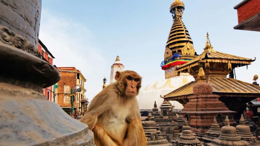 Kathmandu: Chandragiri Cable Car and Monkey Temple Tour - Transport is convenient, but inspect the vehicle
