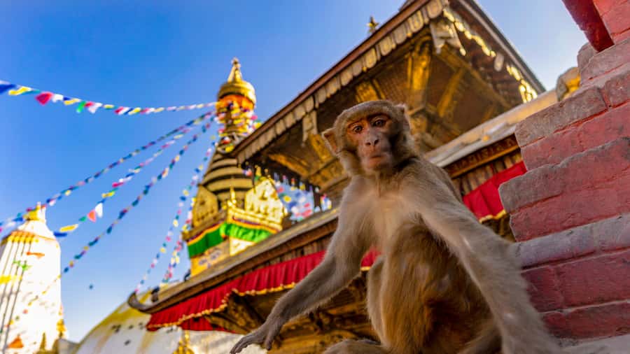 Kathmandu: Chandragiri Cable Car and Monkey Temple Tour - Bhaleshwor Mahadev Temple and the high view