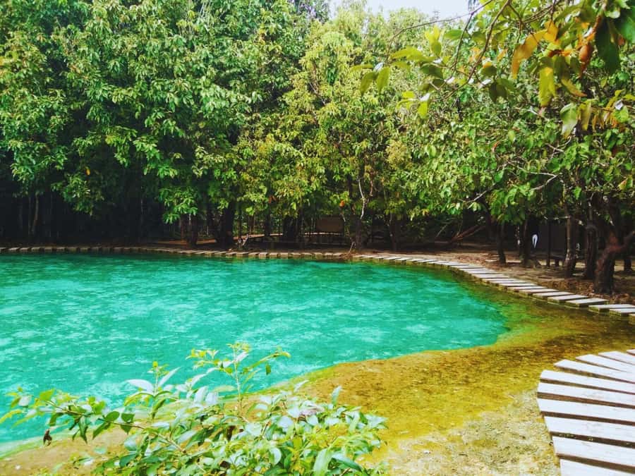 Ko Lanta: Full Day Emerald Pool&Hot Spring With Tiger Temple - A full day from Ko Lanta to Krabi’s inland sights