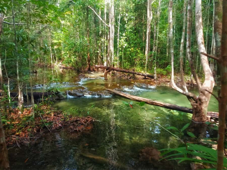 Ko Lanta: Full Day Emerald Pool&Hot Spring With Tiger Temple - Tiger Cave Temple and 1,260 steps