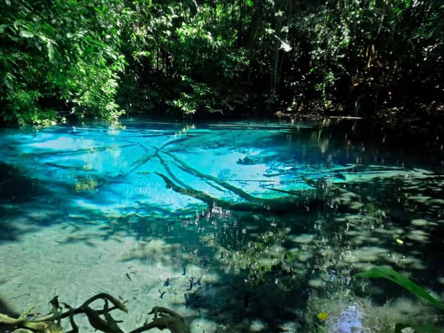 Ko Lanta: Full Day Emerald Pool&Hot Spring With Tiger Temple - Who will enjoy this day most