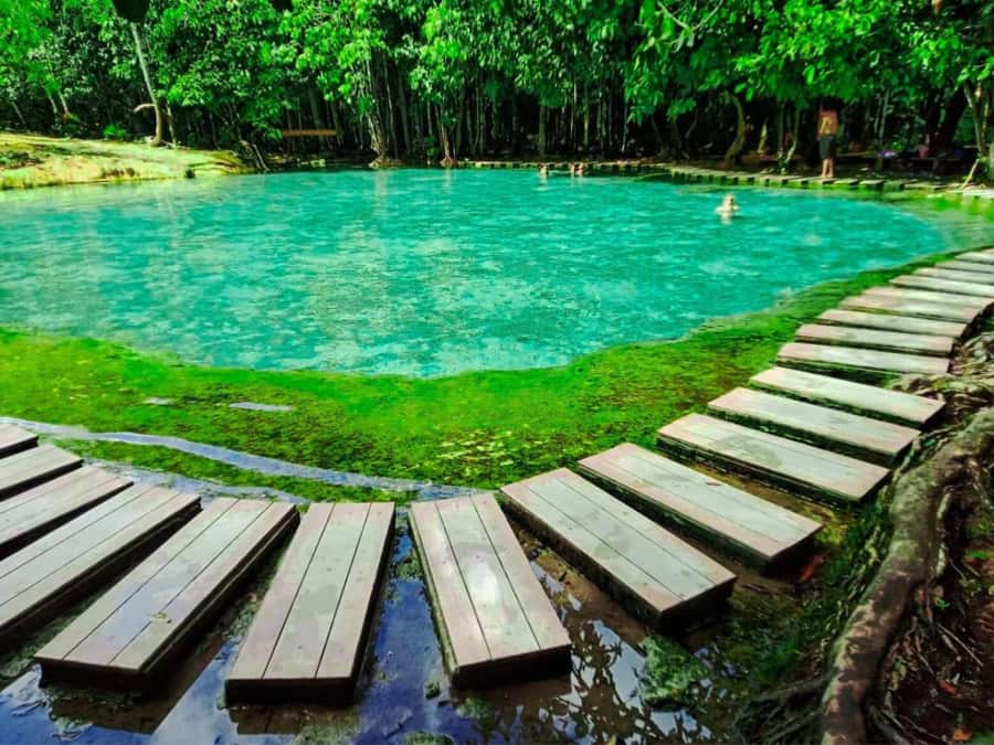 Ko Lanta: Full Day Emerald Pool&Hot Spring With Tiger Temple - Emerald Pool: blue-green water in the forest