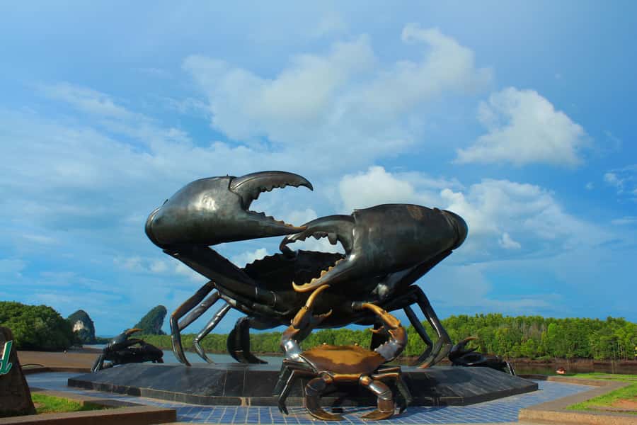 Krabi : 4-Hour City Tour with Tiger Cave Temple - Krabi’s Giant Black Crab by the River