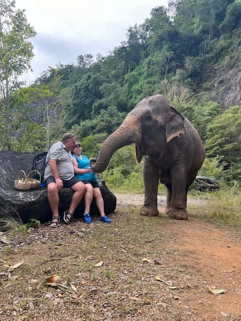 Krabi: Ethical Elephant Sanctuary & Tiger Cave Temple Tour - Hotel pickup keeps the day simple
