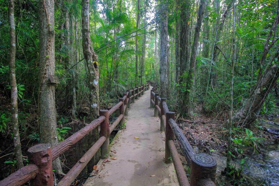 Krabi Outback Explorer with Visit of Tiger Cave Temple - From Krabi hotels to the rainforest