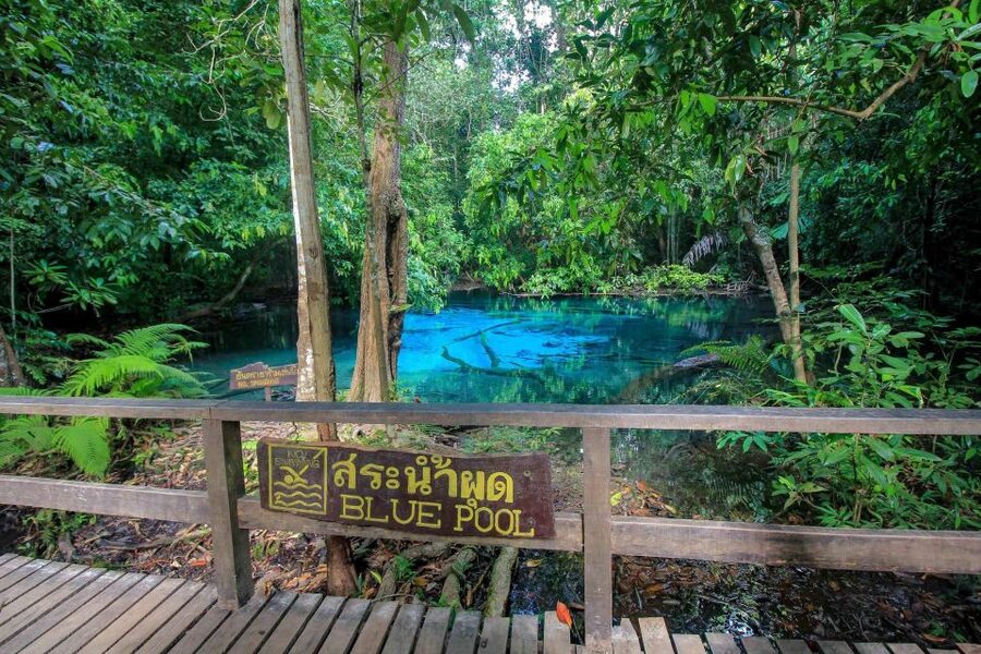 Krabi Outback Explorer with Visit of Tiger Cave Temple - The Blue Pool and the breeding-season closure