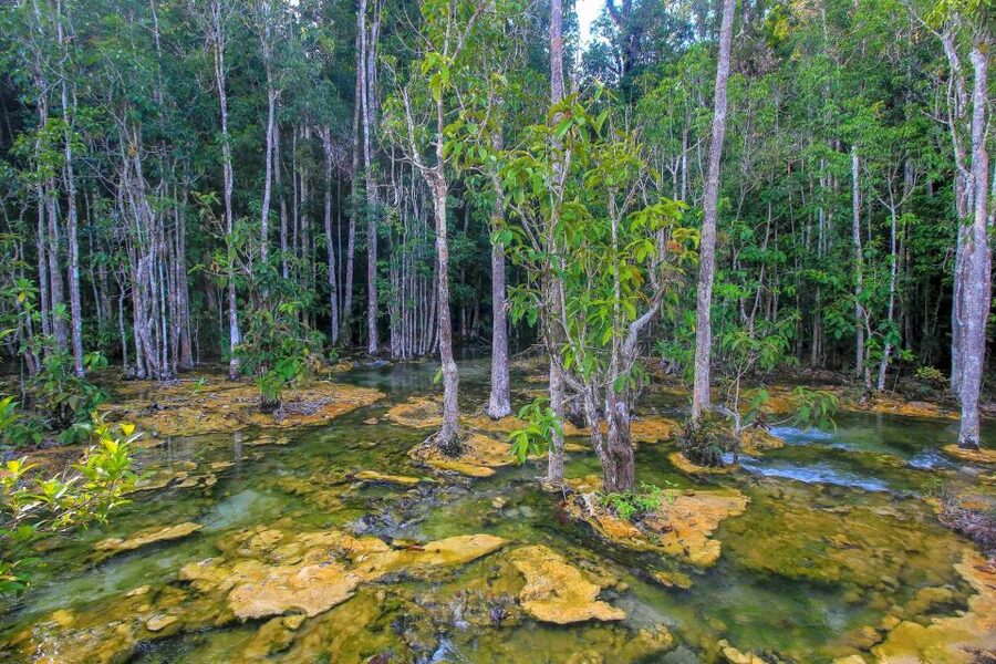 Krabi Outback Explorer with Visit of Tiger Cave Temple - The guide can shape the day