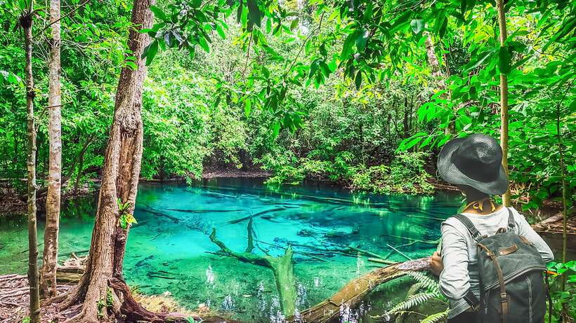 Krabi: Tiger Cave Temple, Emerald Pool and Hot Springs Tour - Key points to know before booking