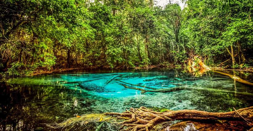 Krabi: Tiger Cave Temple, Emerald Pool and Hot Springs Tour - Tiger Cave Temple and the 1,200-step challenge