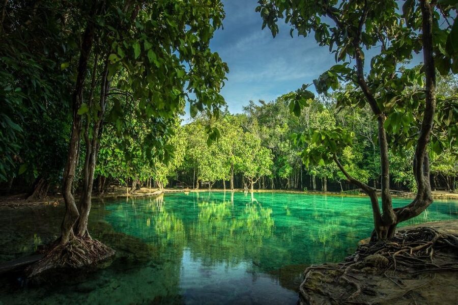 Krabi: Tiger Temple, Hot Springs & Crystal Pool Jungle Tour - Three Krabi sights, one long jungle day
