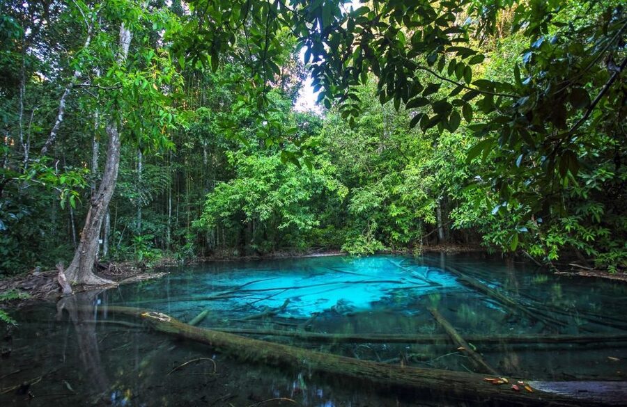 Krabi: Tiger Temple, Hot Springs & Crystal Pool Jungle Tour - Facing the Tiger Cave Temple steps