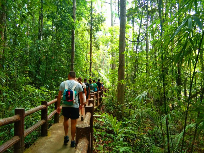 Krabi: Tiger Temple, Hot Springs & Crystal Pool Jungle Tour - Walking into the Emerald Pool