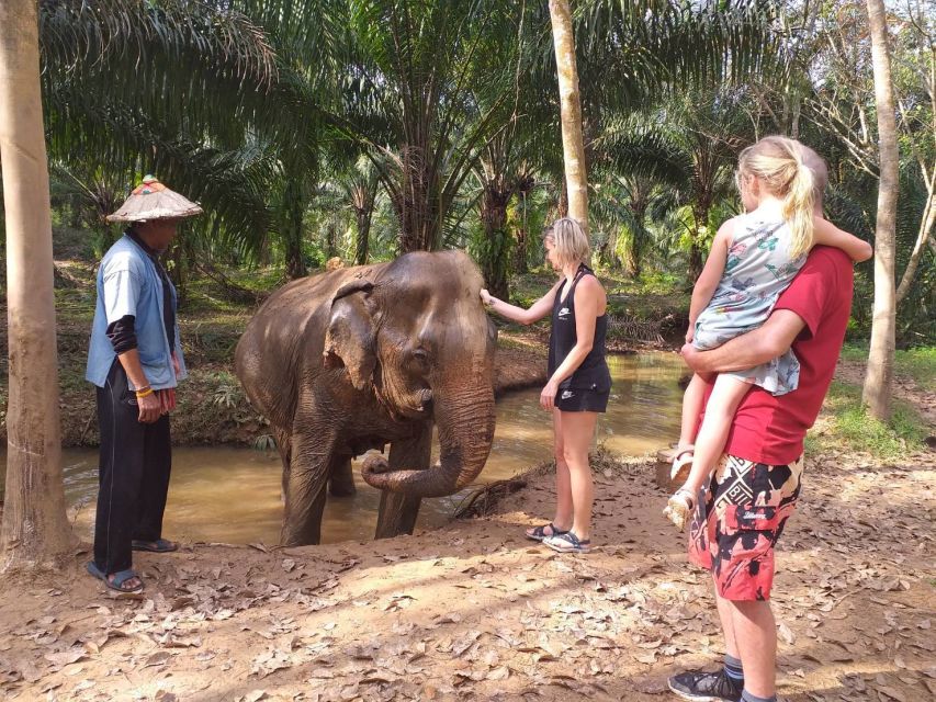 Krabi: Tour of Elephant Care House and Tiger Cave Temple - Key points to know before booking