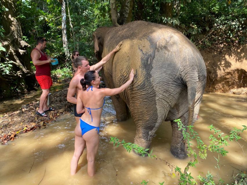 Krabi: Tour of Elephant Care House and Tiger Cave Temple - Should you book the Elephant Care House and Tiger Cave Temple tour?
