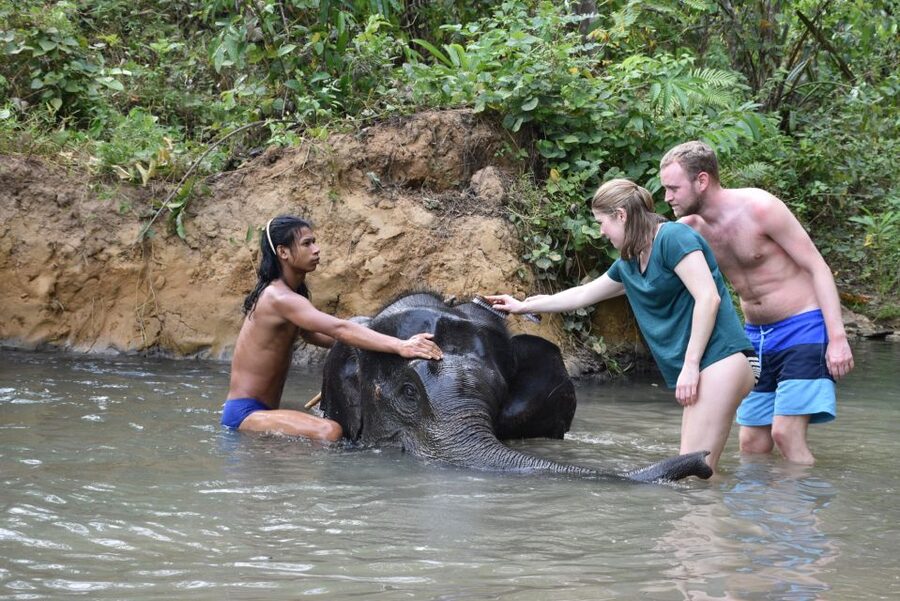 Krabi: Tour of Elephant Care House and Tiger Cave Temple - Meeting elephants beneath Phanom Bencha Mountain