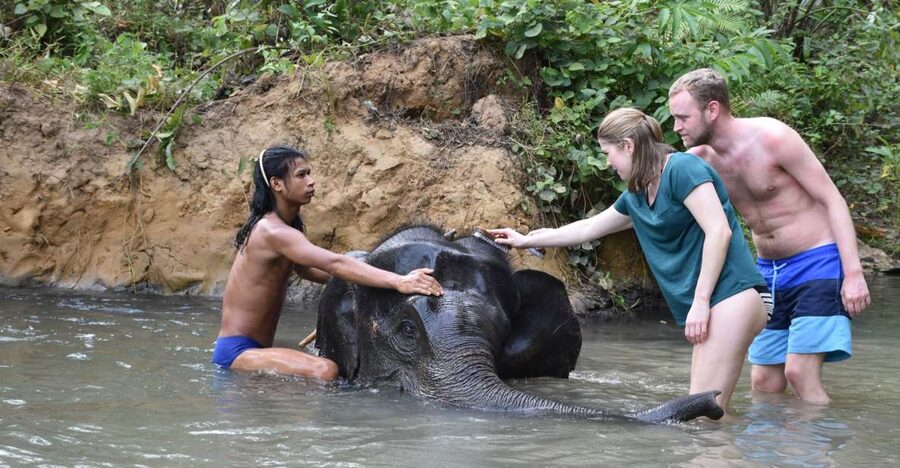Krabi: Tour of Elephant Care House and Tiger Cave Temple - Lunch, fruit, and a practical break