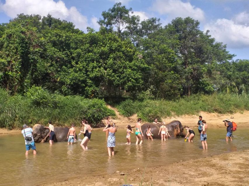 Krabi: Tour of Elephant Care House and Tiger Cave Temple - What to bring and what to leave behind