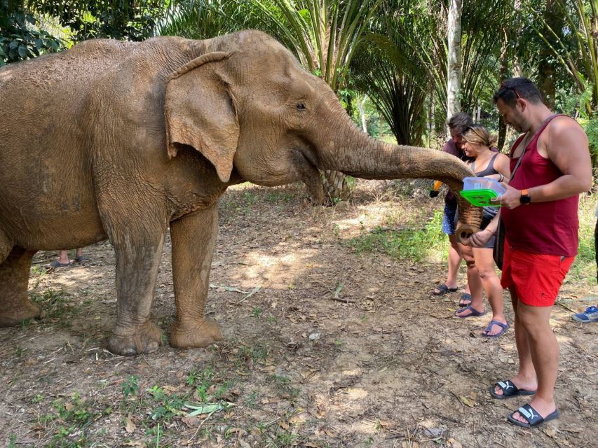 Krabi: Tour of Elephant Care House and Tiger Cave Temple - Useful booking details before you commit