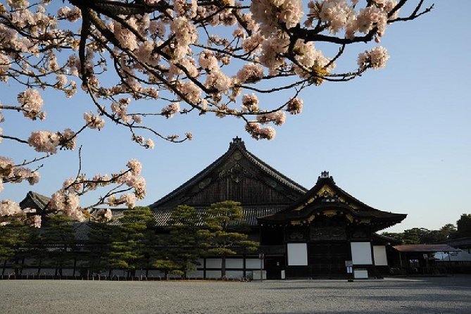 Kyoto 1 Day Tour from Kyoto - Fushimi Inari and the walk to the red torii