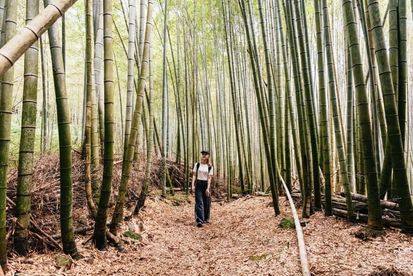 Kyoto: 3-Hour Fushimi Inari Shrine Hidden Hiking Tour - Why this Fushimi Inari route feels different