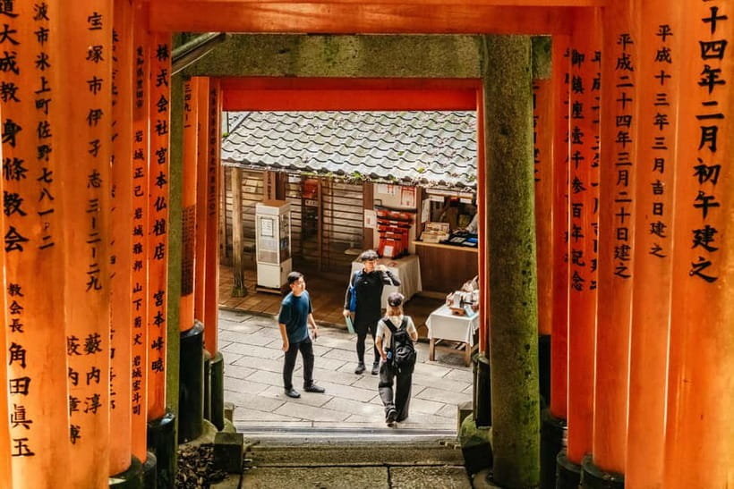 Kyoto: 3-Hour Fushimi Inari Shrine Hidden Hiking Tour - The bamboo grove and the first forest climb
