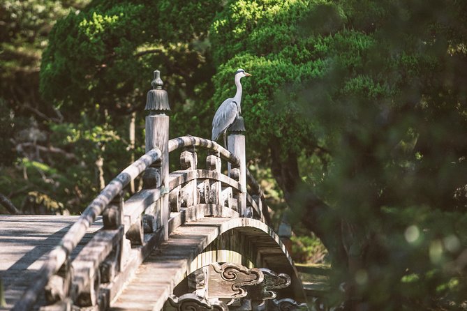 Kyoto and Nara Day Trip from Kyoto - Kasuga Shrine and its lanterns