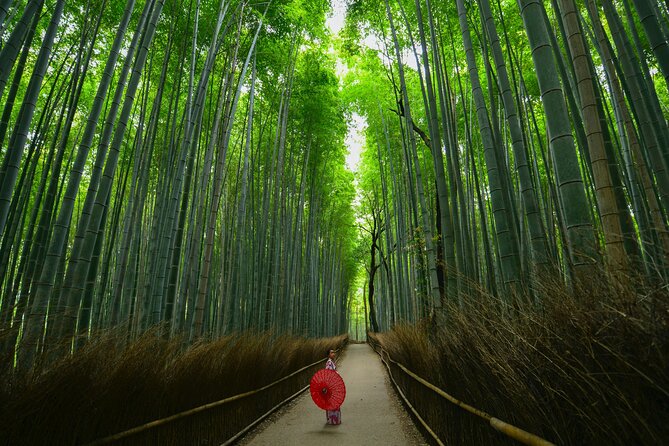 Kyoto: Arashiyama Bamboo, Temple, Matcha, Monkeys & secret spots - Togetsukyo Bridge and the Katsura River view