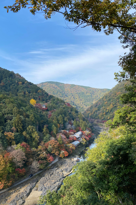 Kyoto: Arashiyama Guided Tour, Bamboo, Monkey, Zen Temple - Why this Arashiyama tour works well