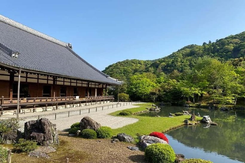 Kyoto: Arashiyama Guided Tour, Bamboo, Monkey, Zen Temple - Walking beneath Arashiyama’s bamboo