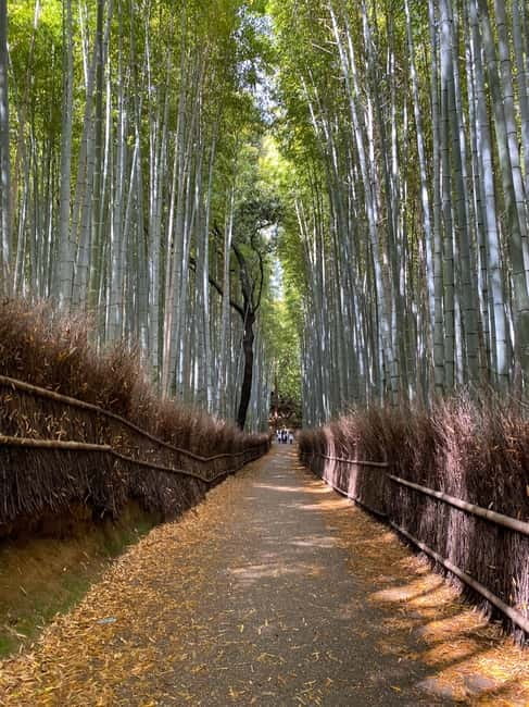 Kyoto: Arashiyama Guided Tour, Bamboo, Monkey, Zen Temple - A photo stop at Togetsukyo Bridge