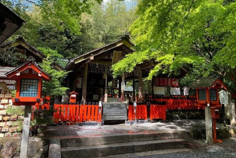 Kyoto: Arashiyama Guided Tour, Bamboo, Monkey, Zen Temple - Is $74 a fair price?