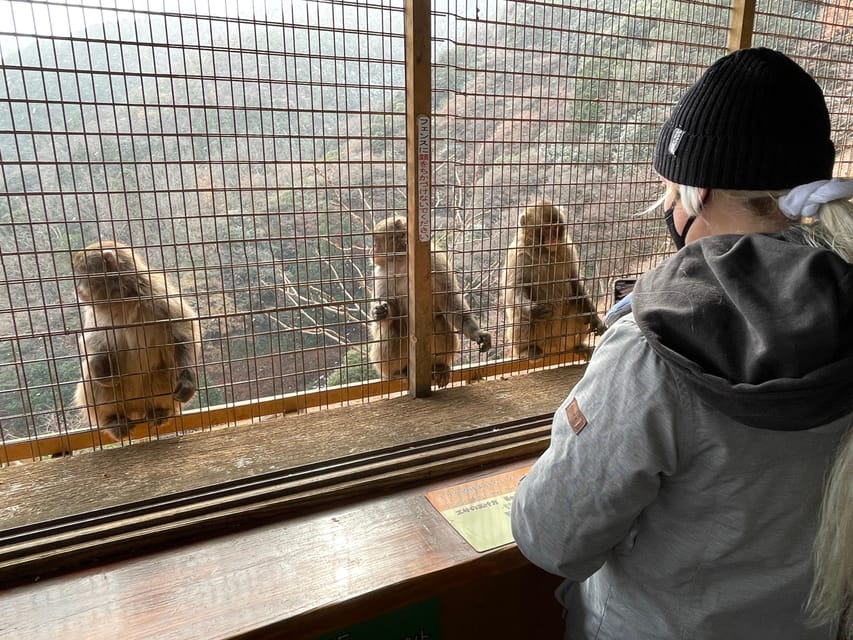 Kyoto: Arashiyama Guided Tour, Bamboo, Monkey, Zen Temple - Starting at JR Saga-Arashiyama Station
