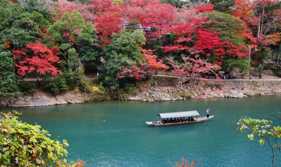 Kyoto: Arashiyama Unveiled Bamboo, Temple, Matcha, & Monkeys - Walking beneath Arashiyama’s famous bamboo
