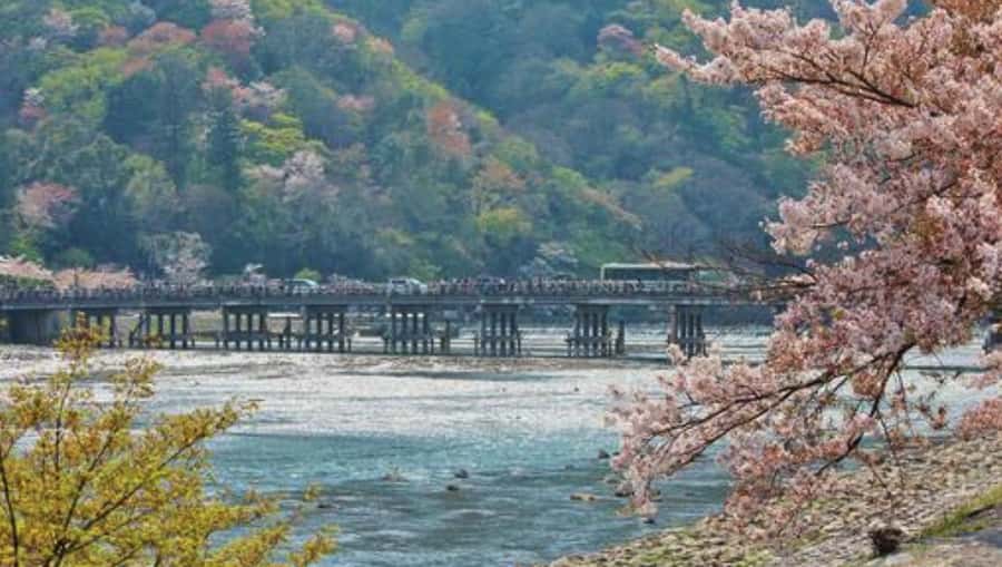 Kyoto: Arashiyama Unveiled Bamboo, Temple, Matcha, & Monkeys - Nonomiya Shrine adds a smaller, older-feeling stop