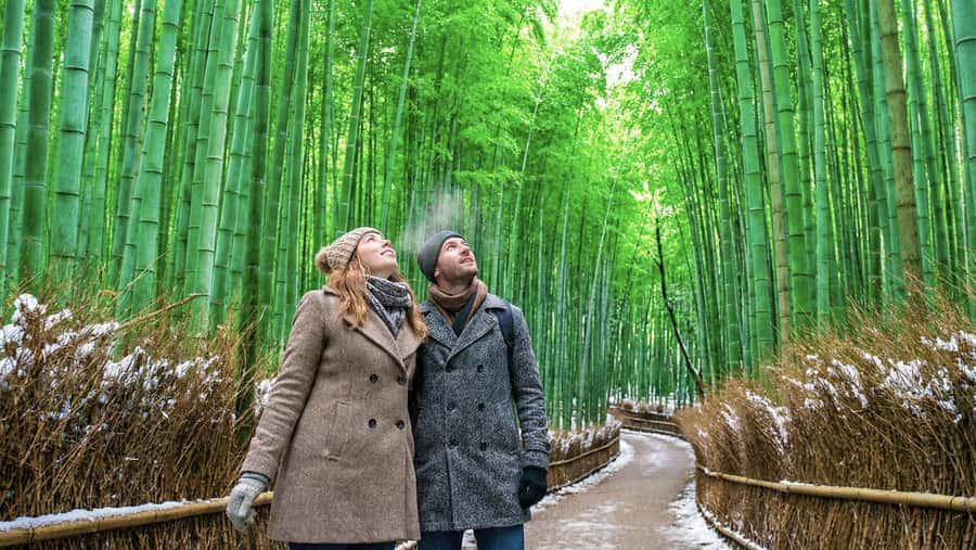 Kyoto: Arashiyama Unveiled Bamboo, Temple, Matcha, & Monkeys - Tenryu-ji begins with calm and order