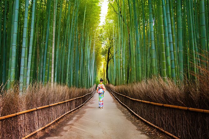 Kyoto Arashiyama Walking Tour: Bamboo, Monkeys, Gardens & Secrets - Starting in Arashiyama and finding the right meeting point