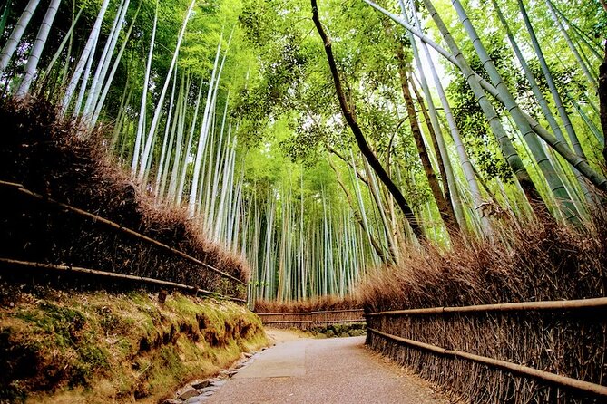 Kyoto Arashiyama Walking Tour: Bamboo, Monkeys, Gardens & Secrets - Tenryuji Temple and one of Kyoto’s finest garden settings