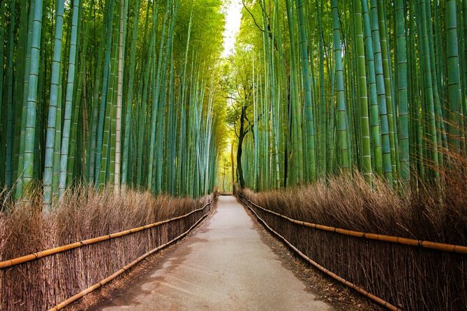 Kyoto Arashiyama Walking Tour: Bamboo, Monkeys, Gardens & Secrets - Togetsukyo Bridge and the open view of the Hozu River