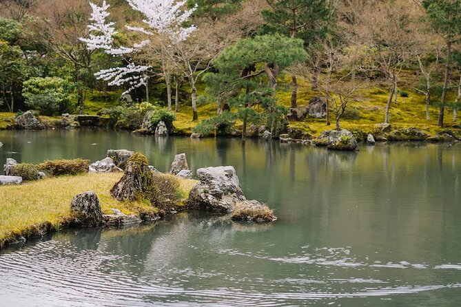 Kyoto Arashiyama Walking Tour: Bamboo, Monkeys, Gardens & Secrets - Monkey Park Iwatayama and the climb you should take seriously