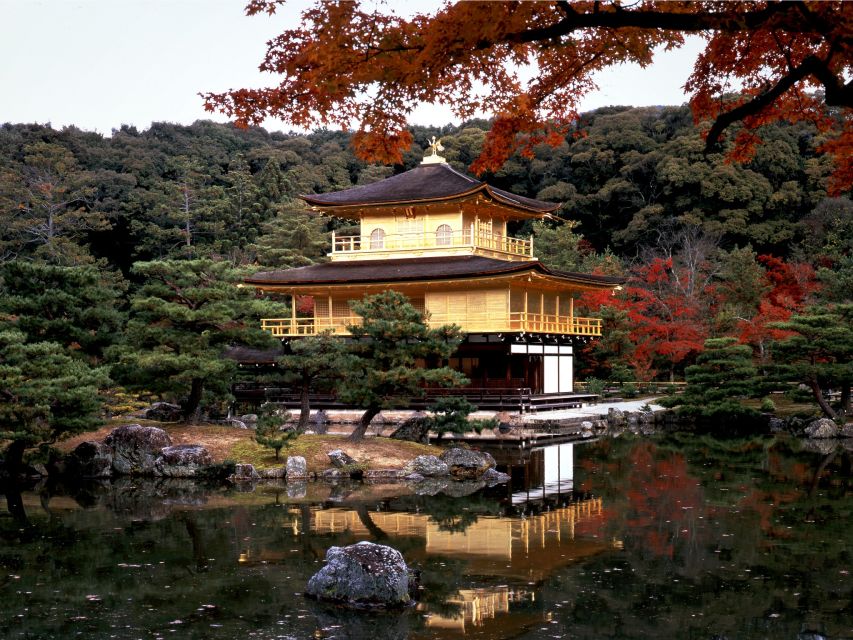 Kyoto: Full-Day English Guided Tour of Kyoto's Highlights - Who should book this Kyoto day tour?