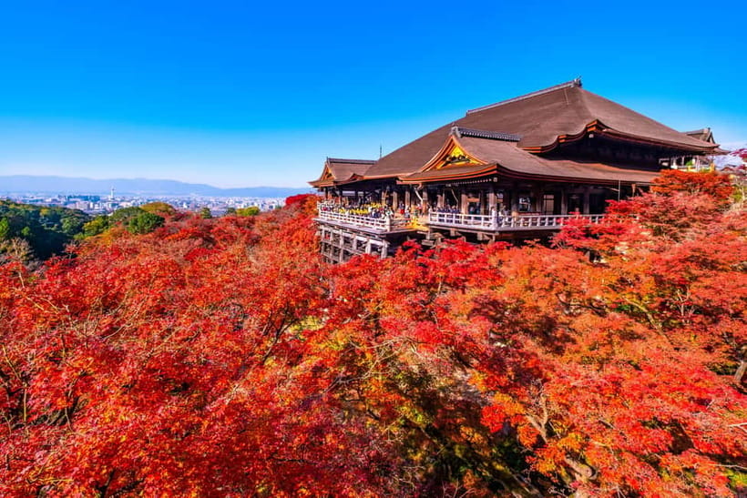 Kyoto: Full-Day English Guided Tour of Kyoto's Highlights - Kinkaku-ji and the Golden Pavilion