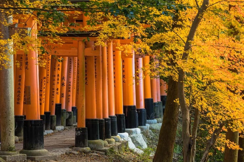 Kyoto: Full-Day English Guided Tour of Kyoto's Highlights - Meeting points and the Osaka connection