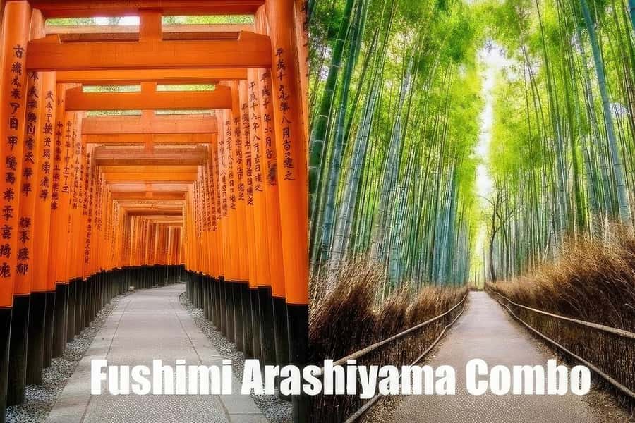 Kyoto: Fushimi, Arashiyama - Bamboo, Monkey, Torii & Secrets - Why this Kyoto combination works