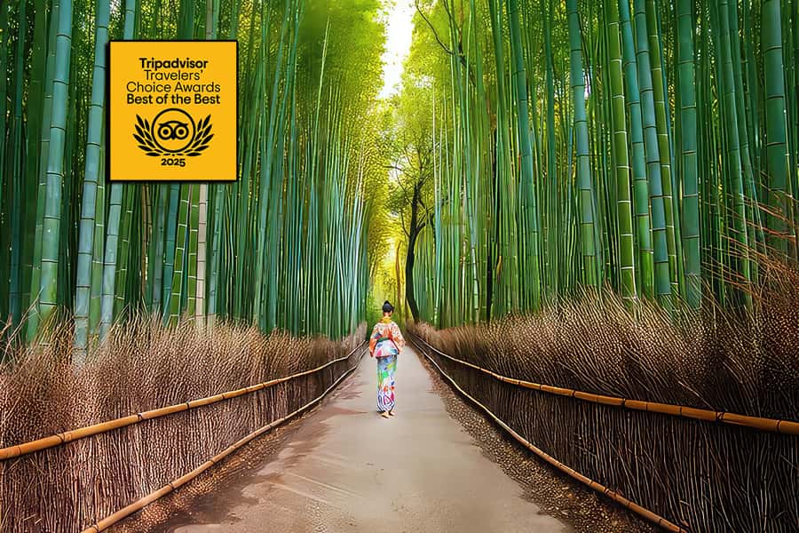 Kyoto: Fushimi, Arashiyama - Bamboo, Monkey, Torii & Secrets - Arashiyama’s bamboo paths, with a quieter angle