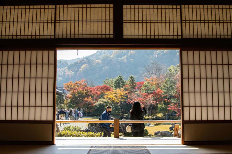 Kyoto: Fushimi, Arashiyama - Bamboo, Monkey, Torii & Secrets - Tenryu-ji’s Zen garden slows the pace